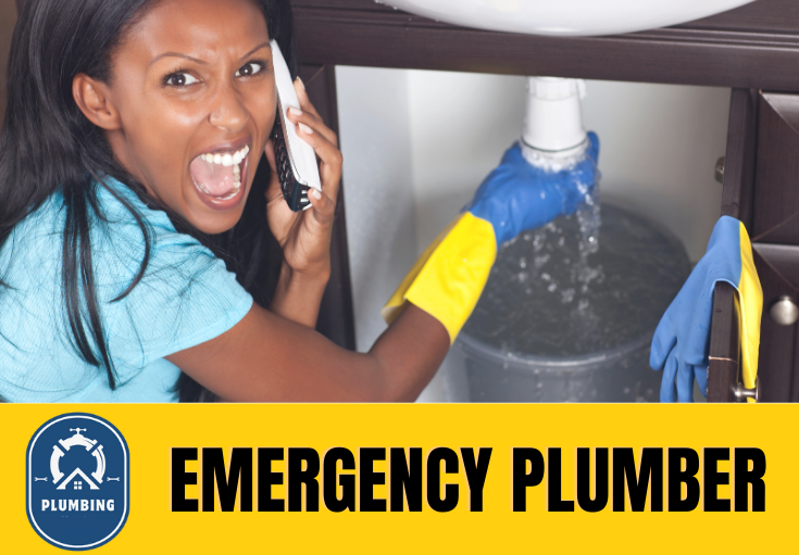 emergency plumber Herne Bay
