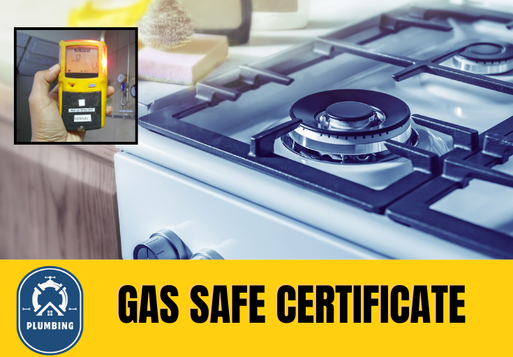 gas safe certificate Herne Bay