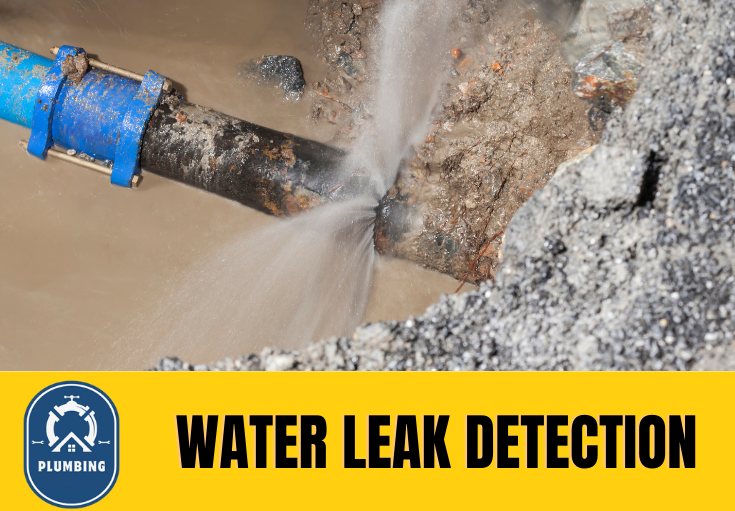 leak detection Herne Bay